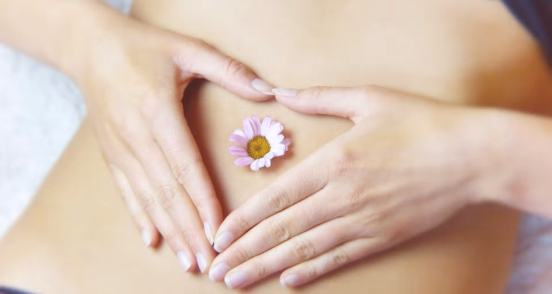 le ventre notre 2eme cerveau